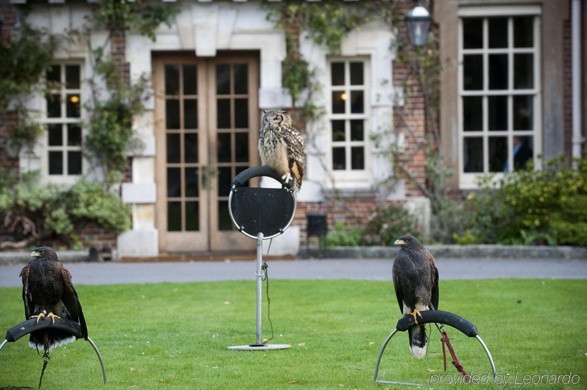 Lainston House Winchester Amenidades foto